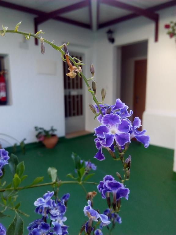 Hostal Batato Vejer de la Frontera Exterior foto