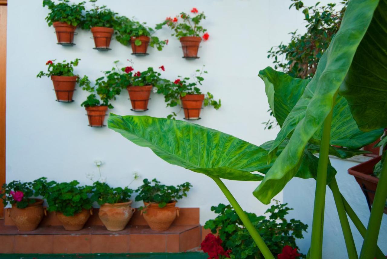 Hostal Batato Vejer de la Frontera Exterior foto